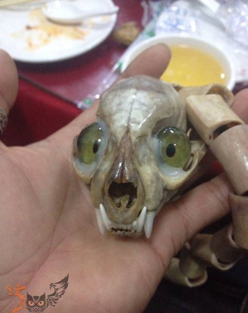 看看这兽头纹身图片