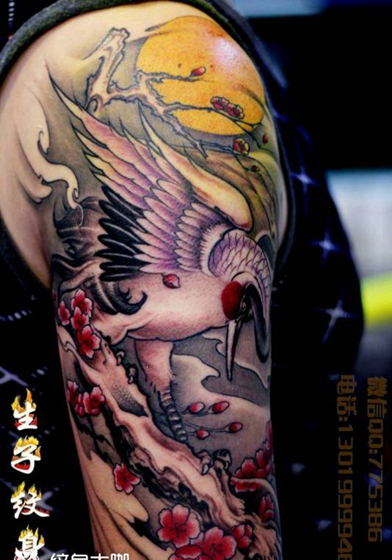 丹顶鹤纹身图片