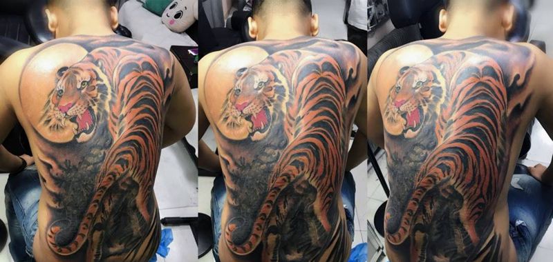 老虎纹身图片