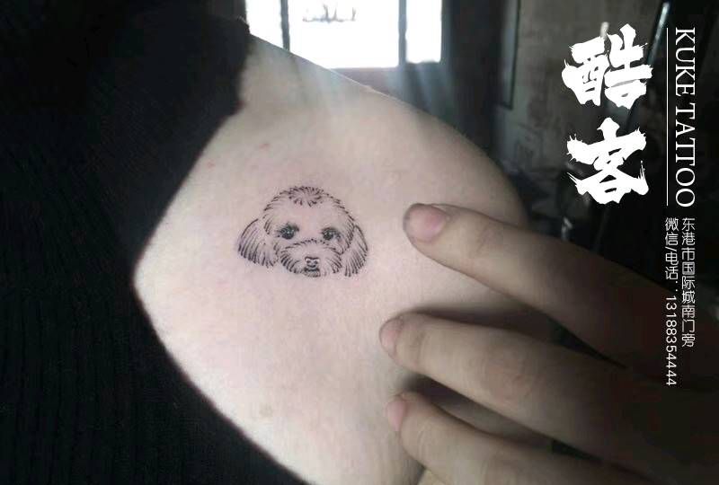 小清新泰迪纹身图片