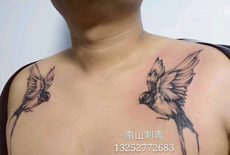 双飞燕纹身图片_腹部胸部点刺New School纹身图案