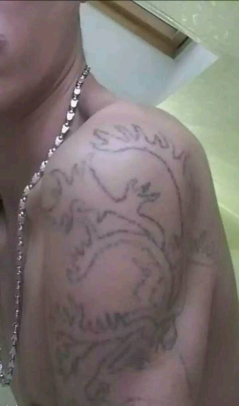 水墨风格遮盖纹身图片_手臂国画静物成品纹身图案