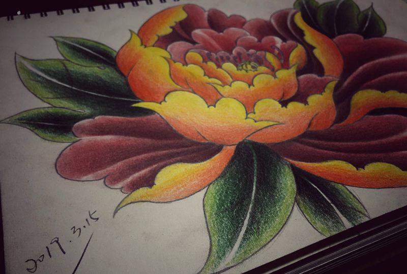 牡丹手稿纹身图片_肩部手臂新传统纹身图案