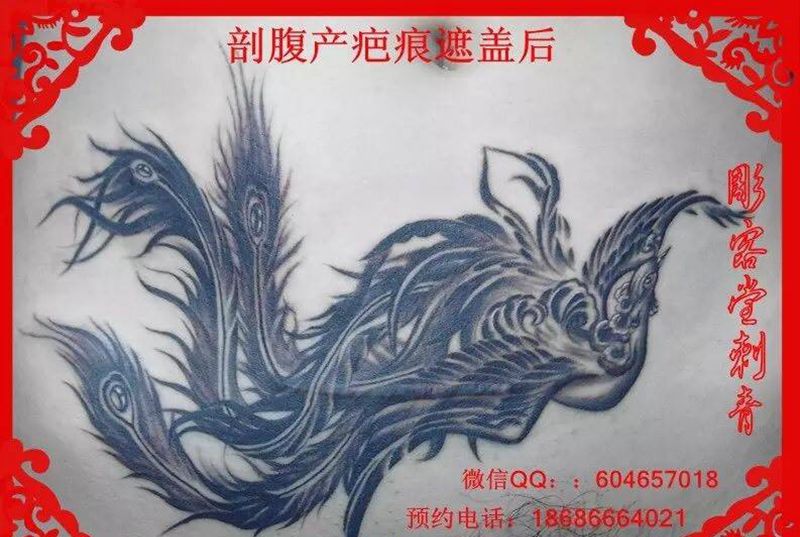 遮盖刀口 凤凰纹身图片_腹部传统动物纹身图案