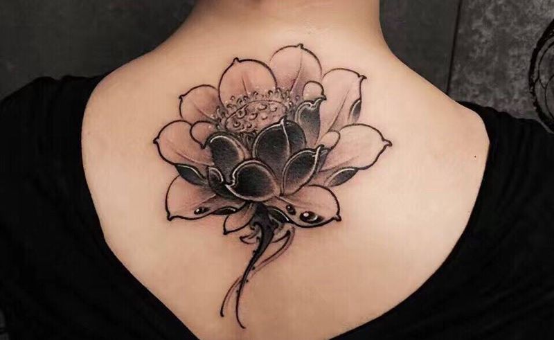 荷花纹身图片_背部传统植物纹身图案