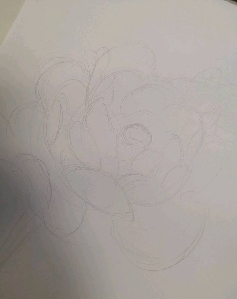 牡丹手稿纹身图片_新传统老传统纹身图案