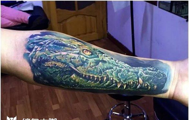 鳄鱼 四年前的作品纹身图片_成品手臂欧美写实动物纹身图案