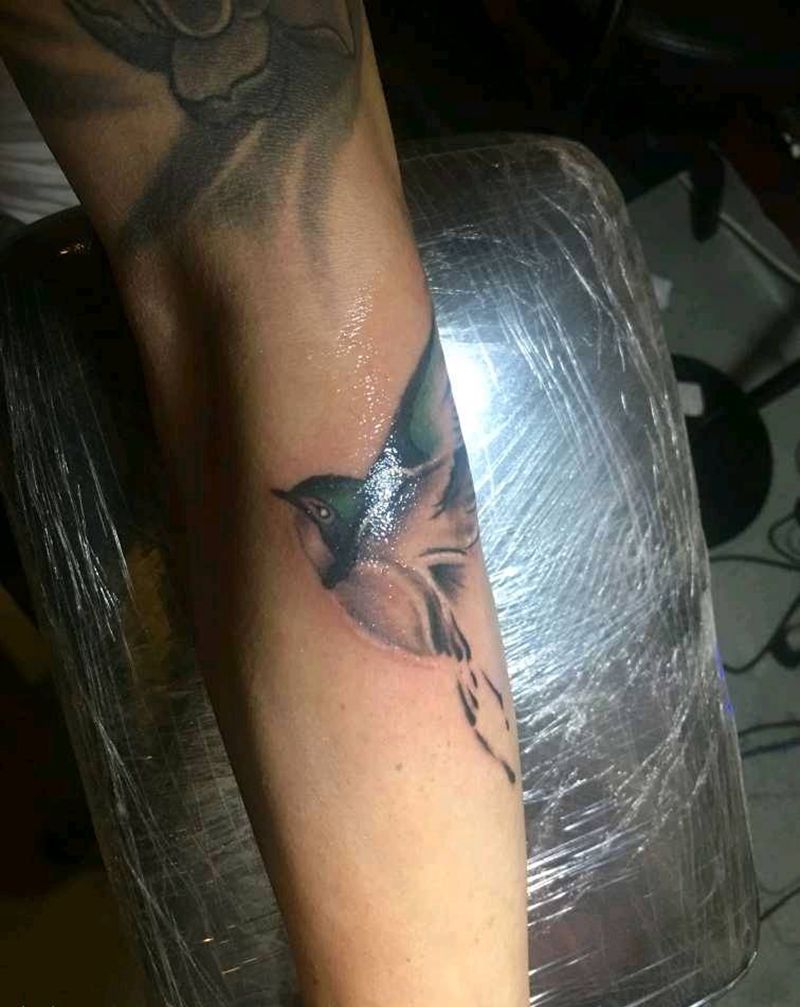 无脚鸟纹身图片_手臂纹身图案