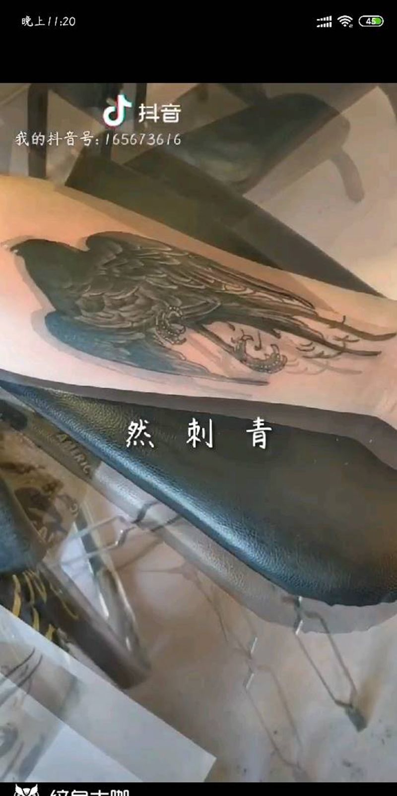 300块的小乌鸦纹身图片