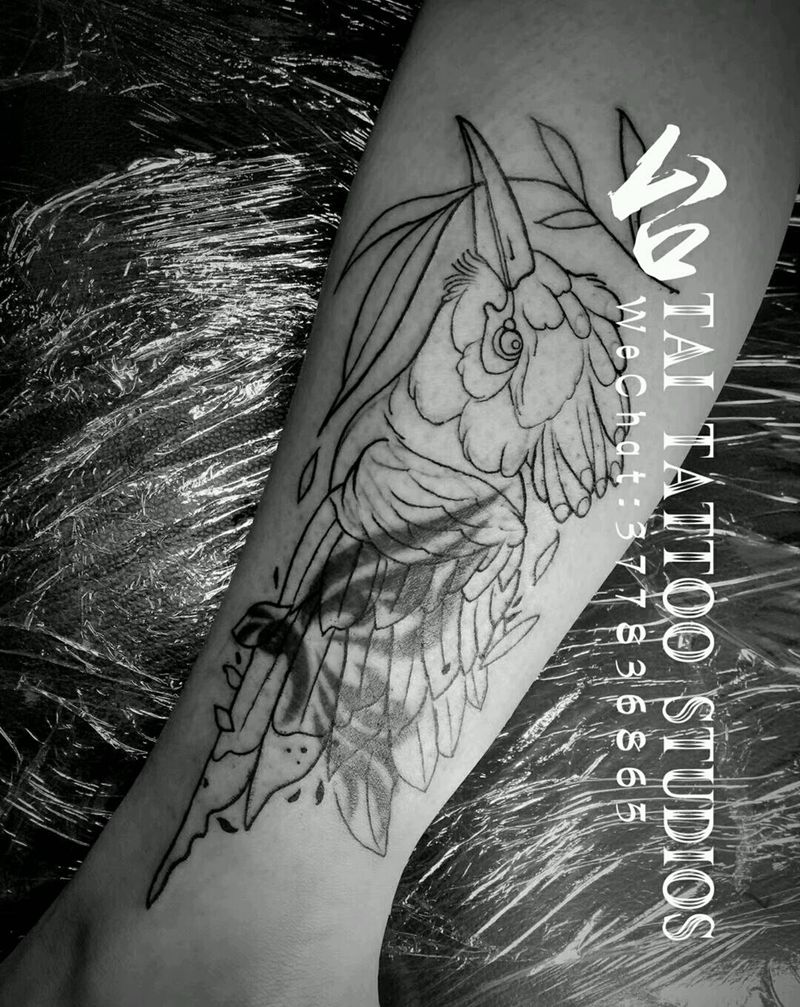 遮盖  欧美彩色纹身图片_腿部欧美清新动物吉林台刺吉林成品纹身图案