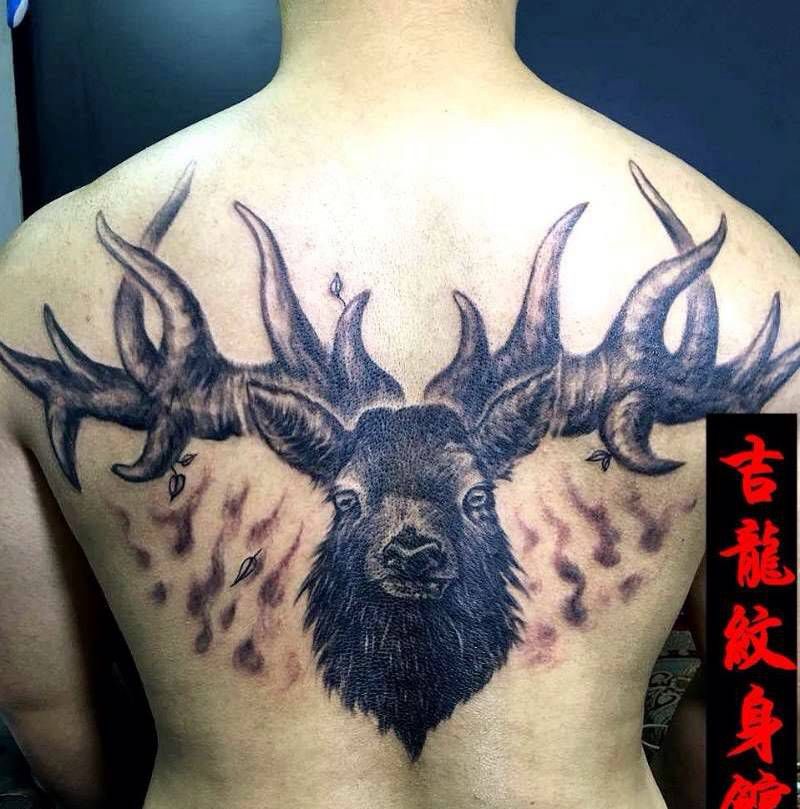 鹿头纹身纹身图片