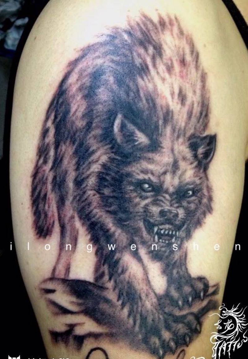 狼纹身图片
