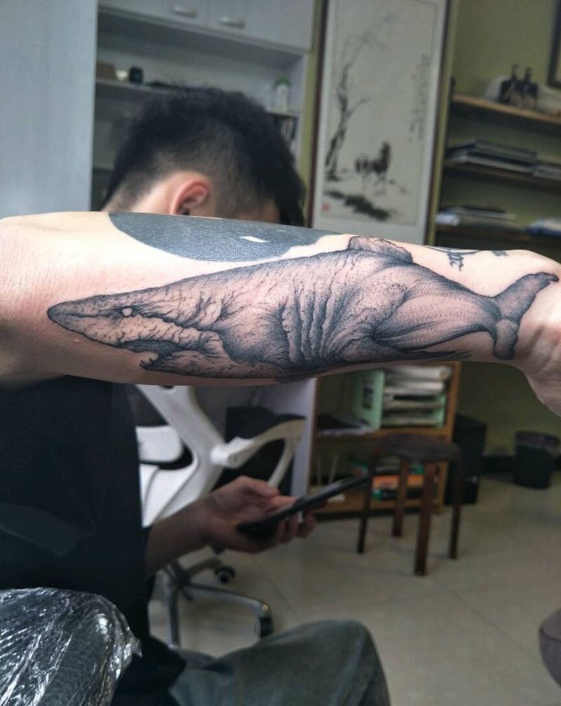 大白鲨纹身图片