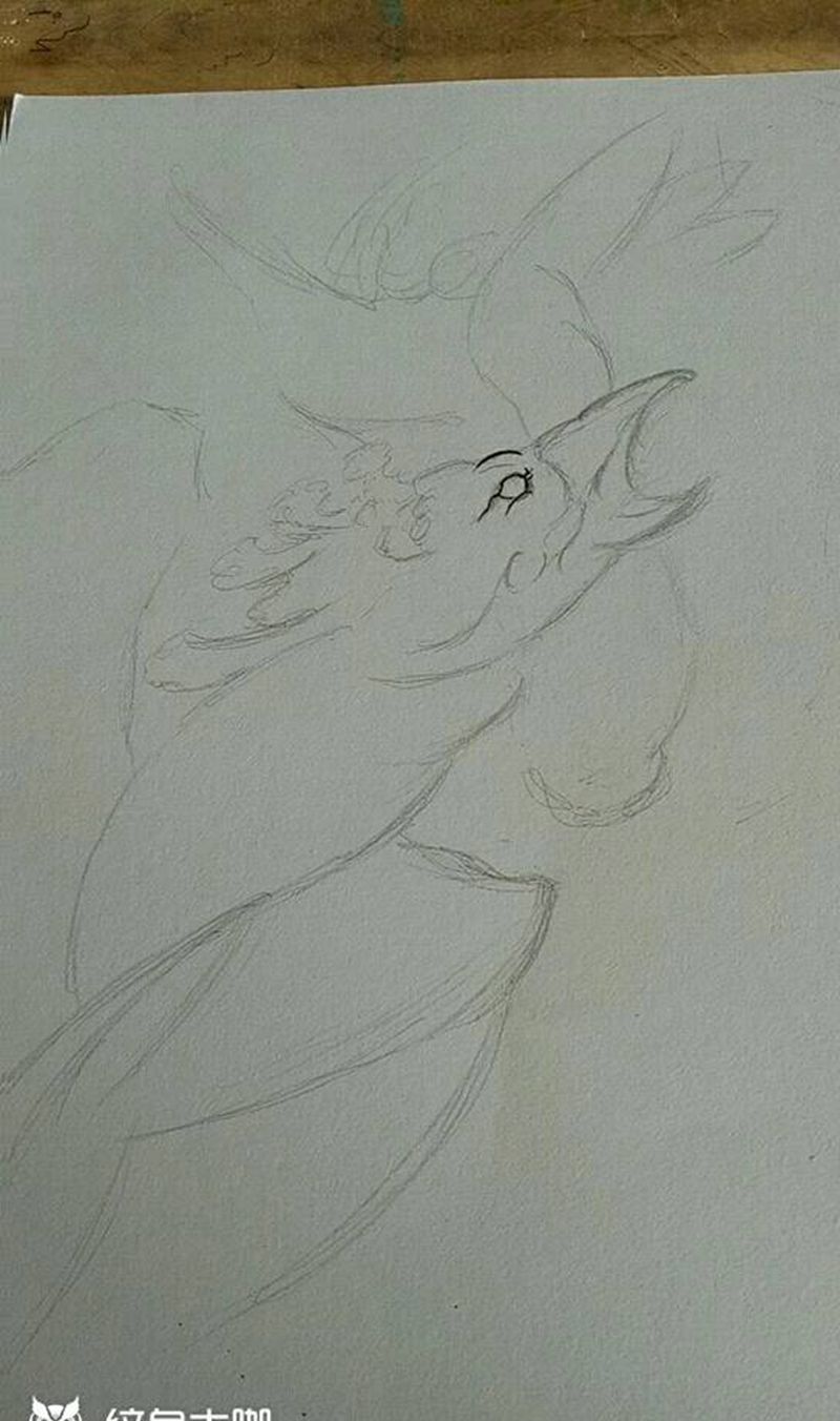 彩绘凤凰！未完成！持续更新纹身图片