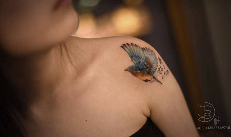 彩色鸟纹身图片_肩部水墨New School纹身图案