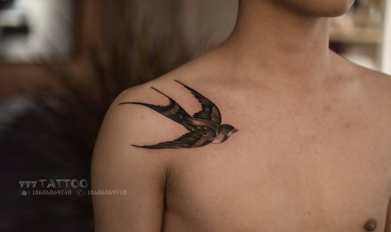 燕子纹身纹身图片
