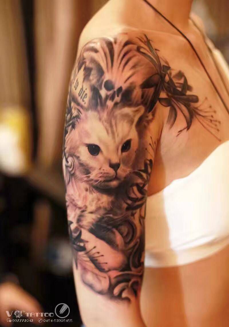 猫咪纹身纹身图片