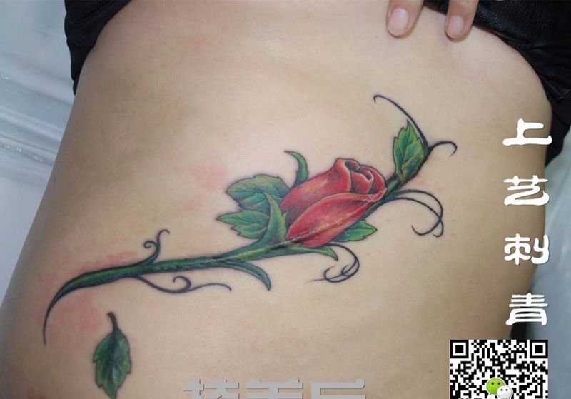 玫瑰花纹身掩盖手术刀疤纹身图片_成品腹部清新植物纹身图案