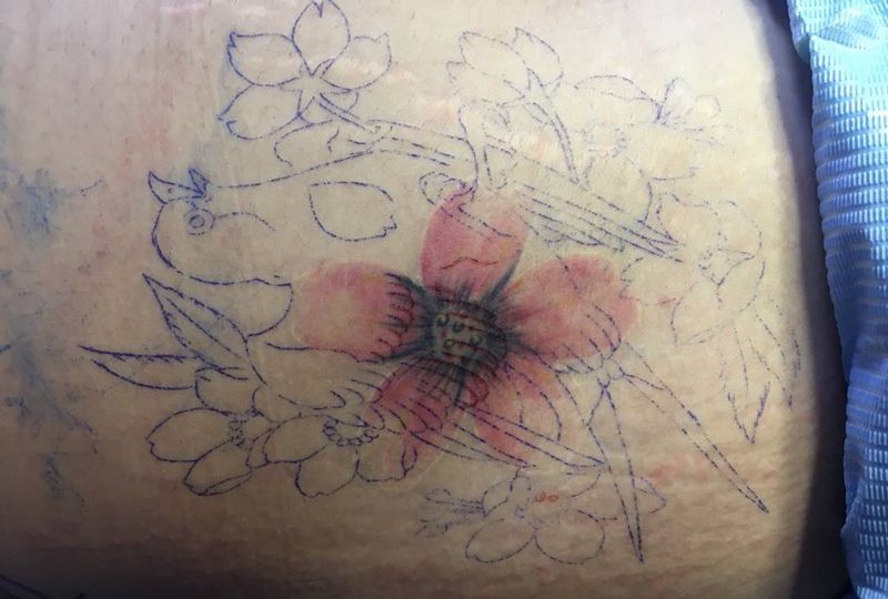 遮盖 燕子纹身图片