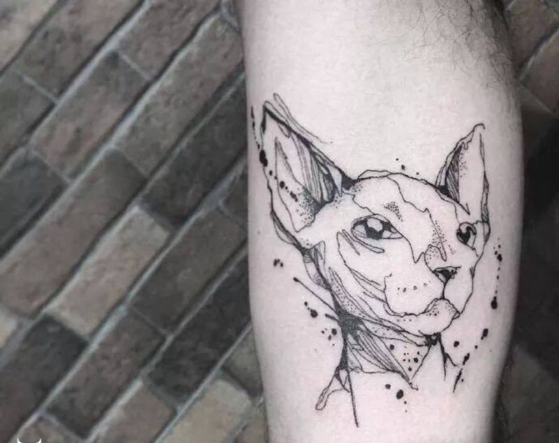 司芬克斯纹身图片