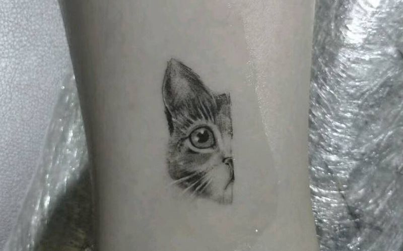 猫纹身图片_手臂几何点刺纹身图案