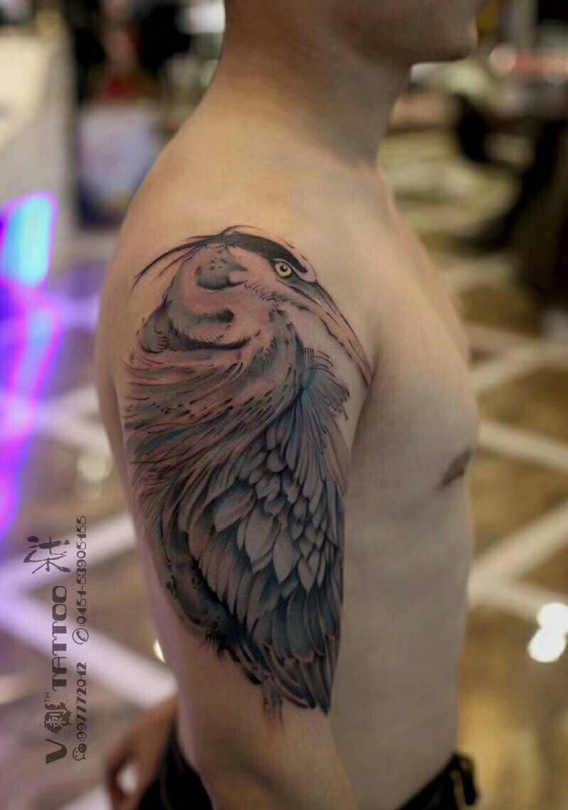 此鸟不一般纹身图片