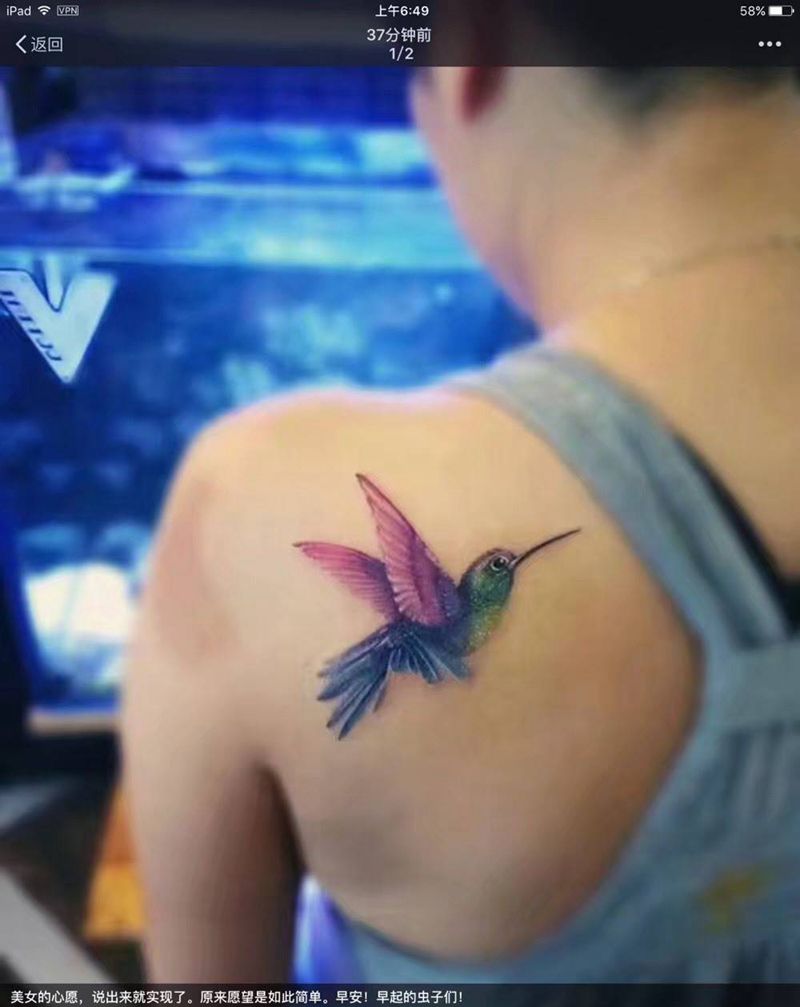彩色蜂鸟纹身图片_背部欧美清新写实动物成品纹身图案