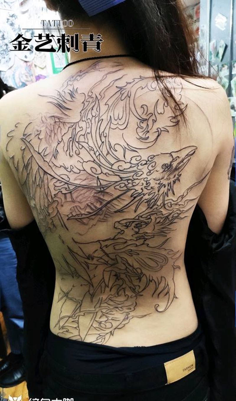 满背凤凰线条纹身图片_背部新传统纹身图案