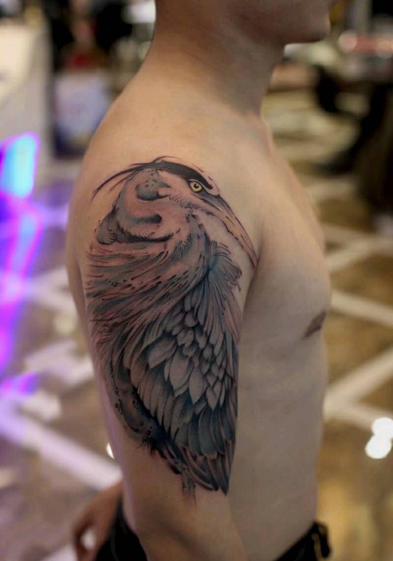 白鹭缘纹身图片_手臂传统国画动物原创彩色成品纹身图案