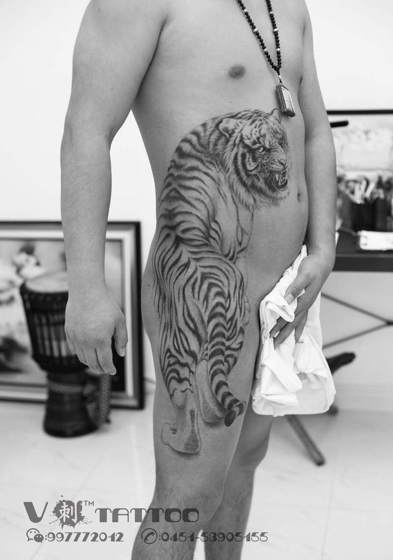 世间所有素未谋面的相遇纹身图片_成品腹部腿部写实传统动物阿V作品哈尔滨老虎原创纹身图案
