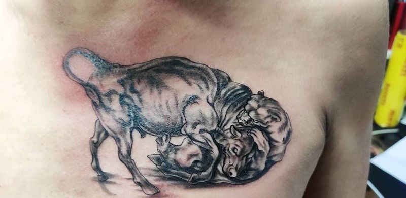 牛熊纹身图片_胸部纹身图案