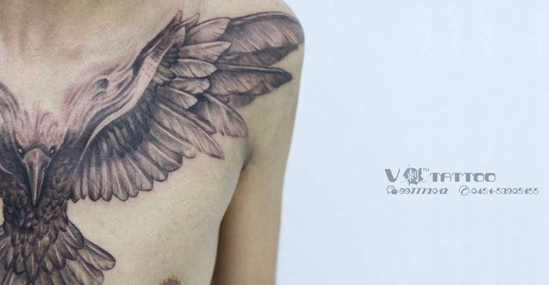 Tattoo by 阿V纹身图片_成品胸部阿V作品哈尔滨V刺肖像王子写实翅膀动物乌鸦纹身图案