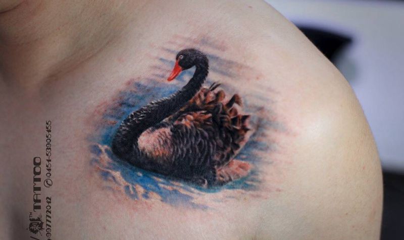 黑天鹅…纹身图片