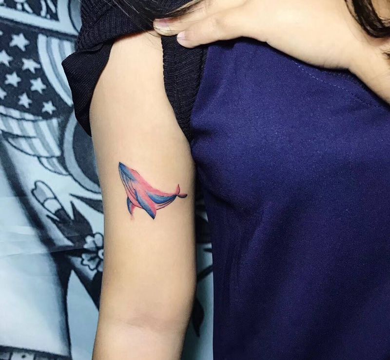 鲸鱼纹身图片_成品手臂清新动物纹身图案