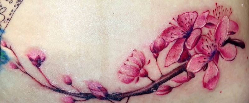 瘢痕遮盖纹身图片