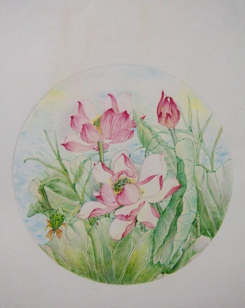 荷纹身图片_胸部背部传统习俗国画植物手稿纹身图案