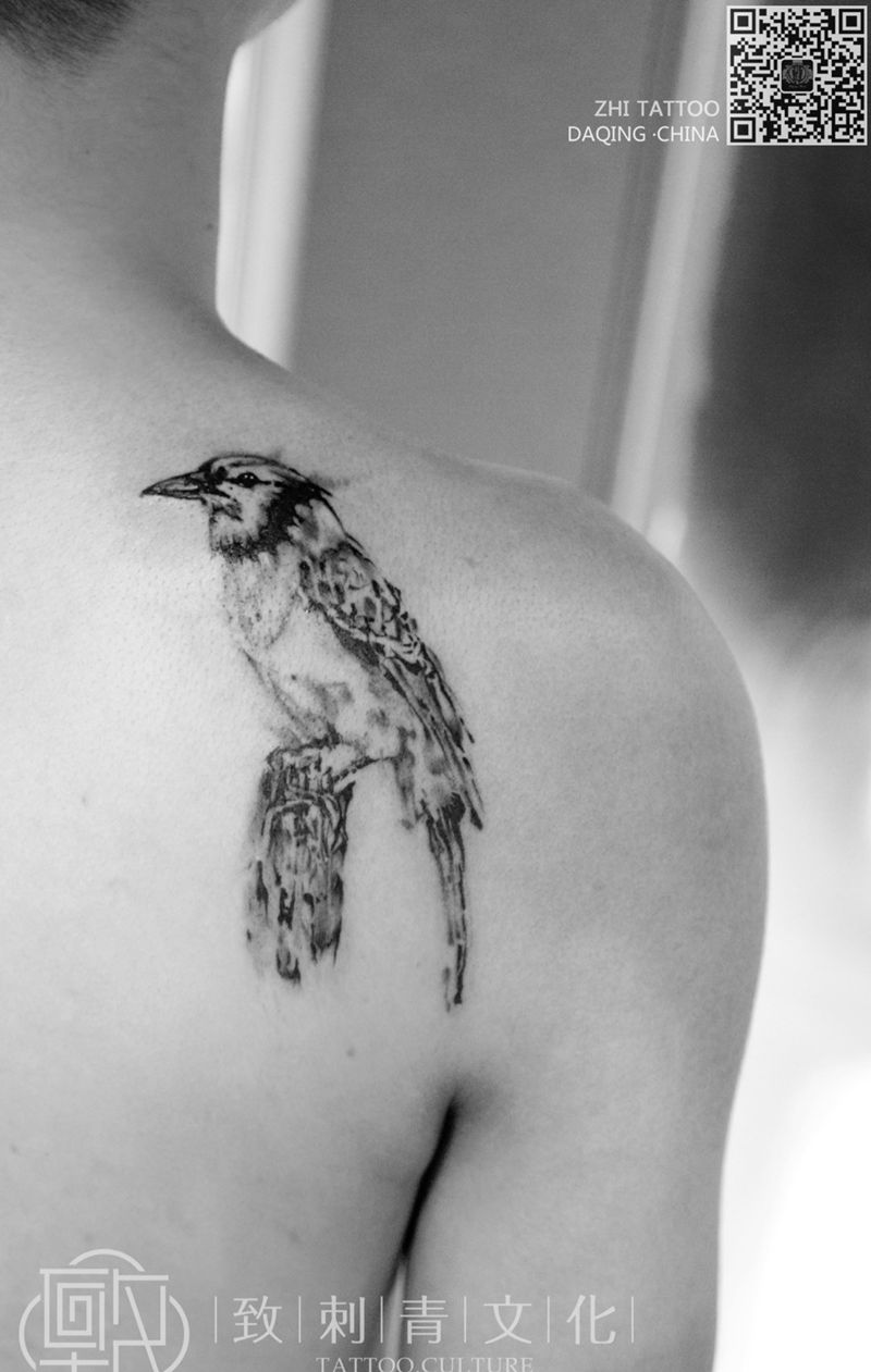 水墨鸟纹身图片