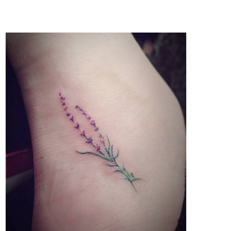 薰衣草纹身图片_手稿脚部清新植物纹身图案