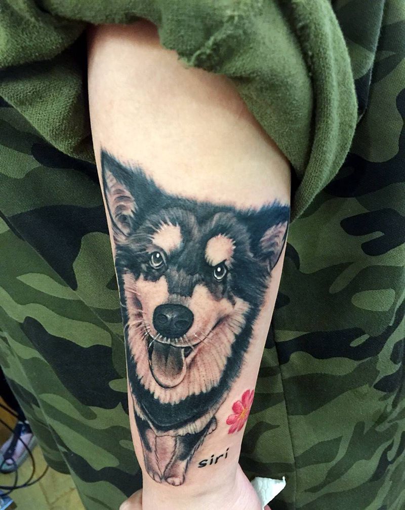 宠物狗纹身图片