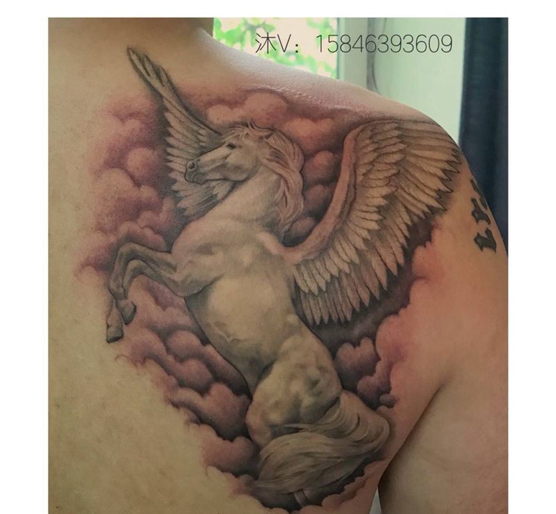 飞马纹身图片_手稿背部写实动物纹身图案