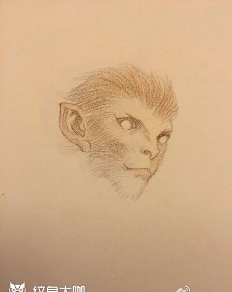 找的一些猴子素材。希望有用纹身图片