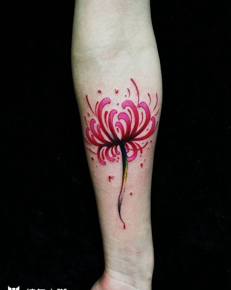 彼岸，有叶无花，花开无叶纹身图片