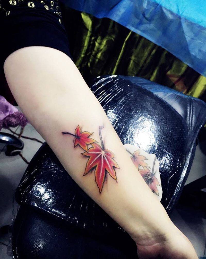 枫叶纹身图片