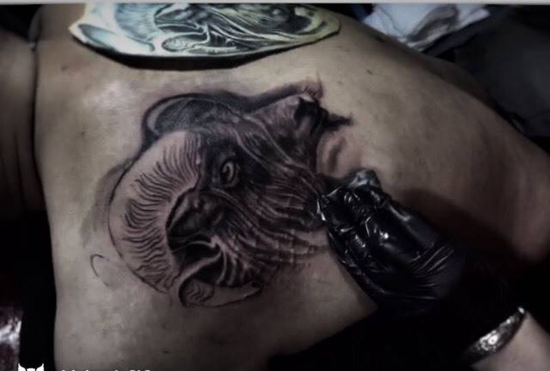 吉祥羊纹身图片