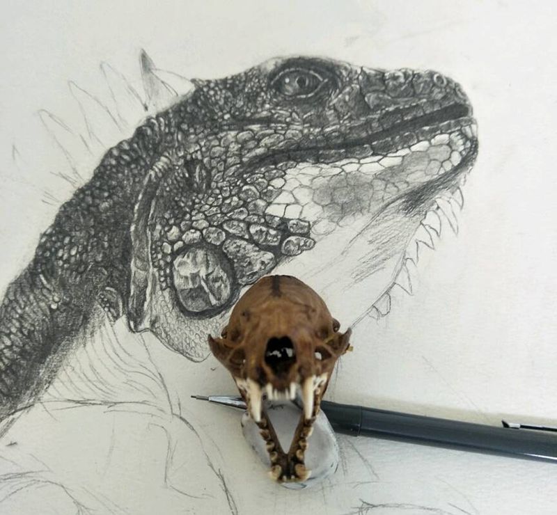 手绘 四脚爬虫纹身图片