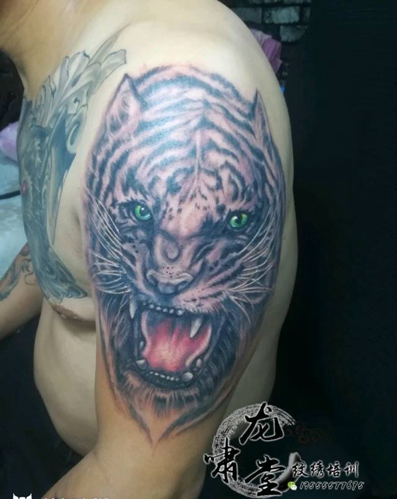 虎头纹身图片_肩部纹身图案