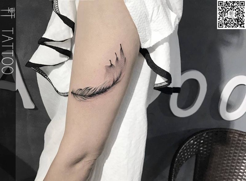 羽毛遮盖纹身图片