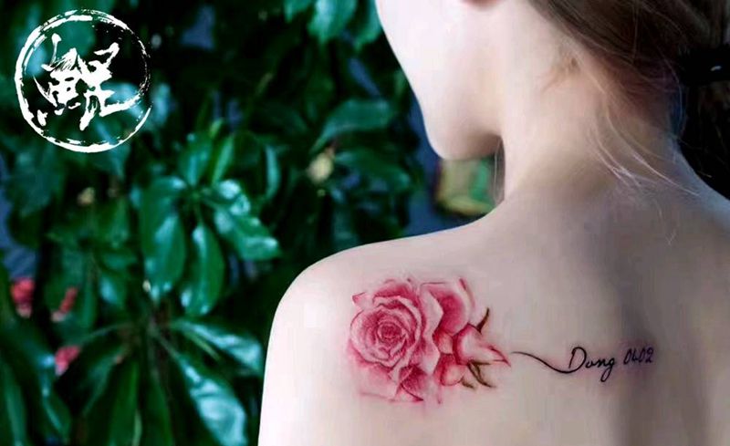 肩胛骨纹身图片_肩部清新字符植物静物图腾原创成品纹身图案