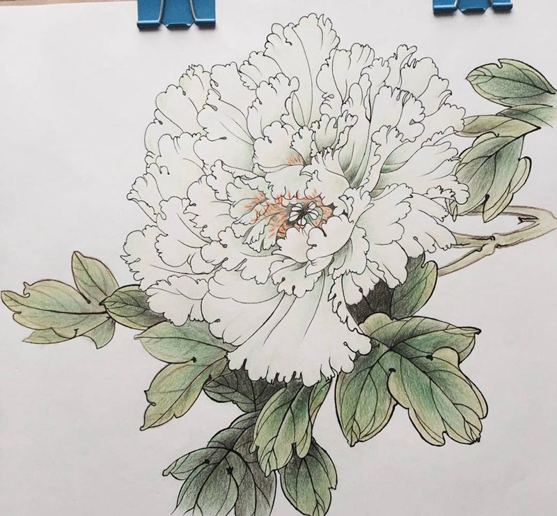 牡丹纹身图片_插画国画植物原创纹身图案