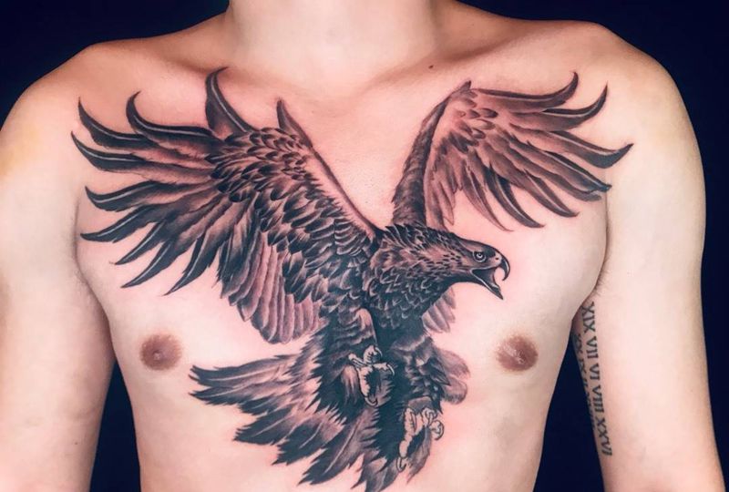雄鹰未完成纹身图片